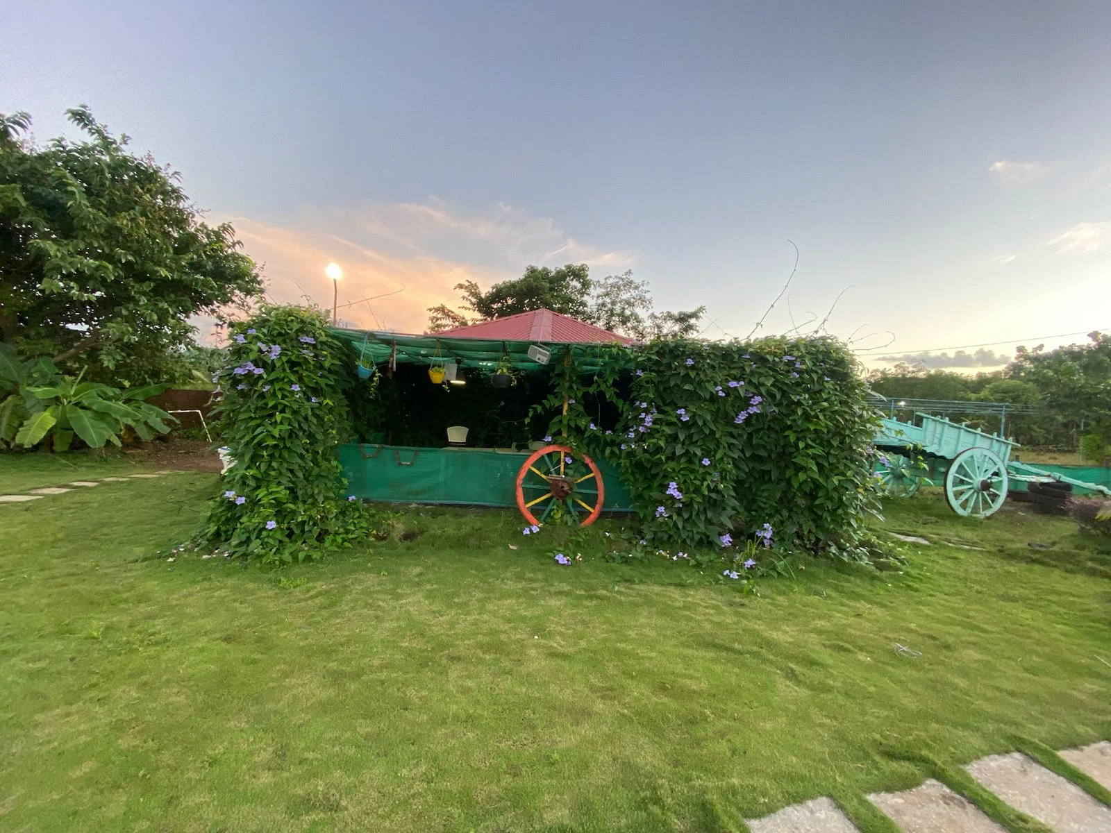 Green farmhouse exterior and lawn at sunset
