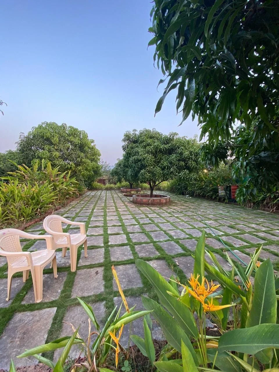 Garden walkway lined with plants and outdoor seating